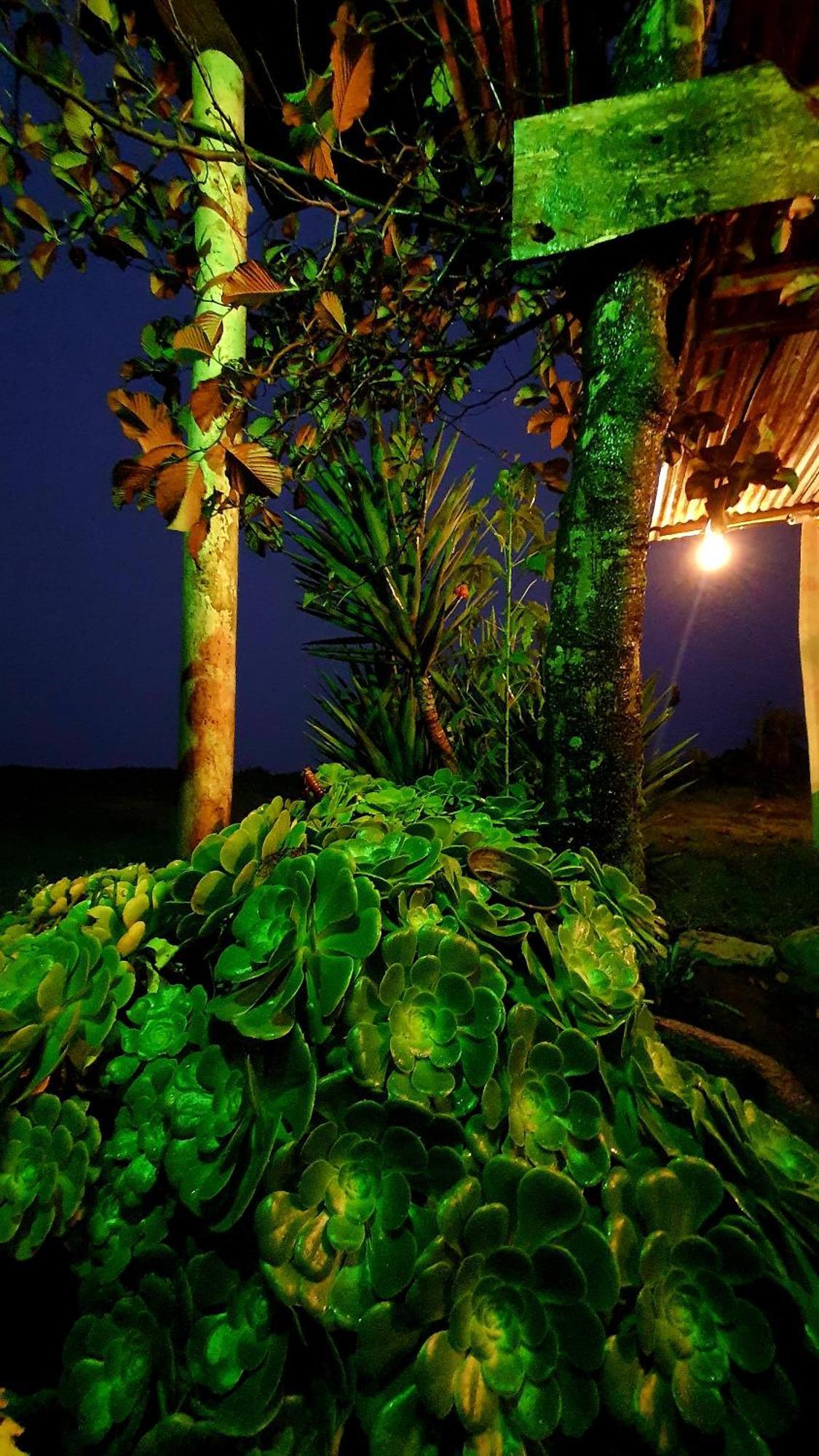 Sigchos Starlight Mountain Lodge מראה חיצוני תמונה